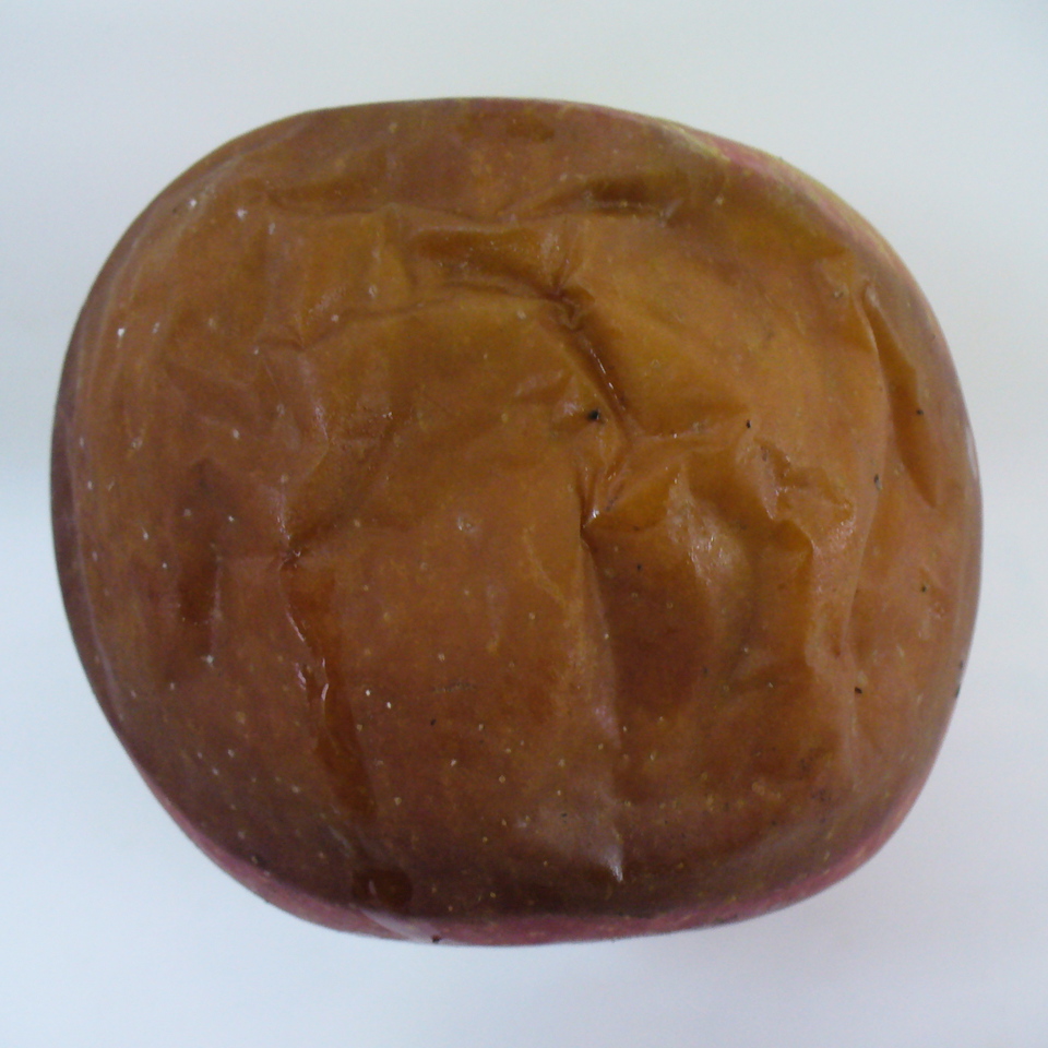 Fruto podre, com lesão de cor parda, que amolece e murcha, causada por <i>Botryosphaeria</i> sp.