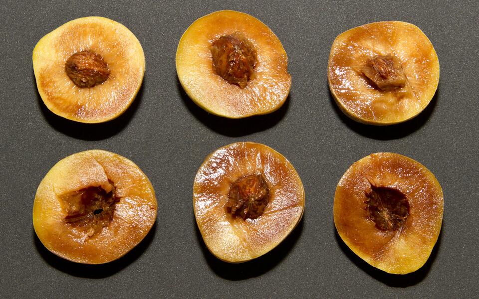 Pêssego mostrando área da polpa escurecida com diversos graus de intensidade, devido à incidência do distúrbio fisiológico escurecimento ou degenerescência interna durante o armazenamento refrigerado